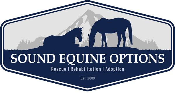 Sound Equine Options